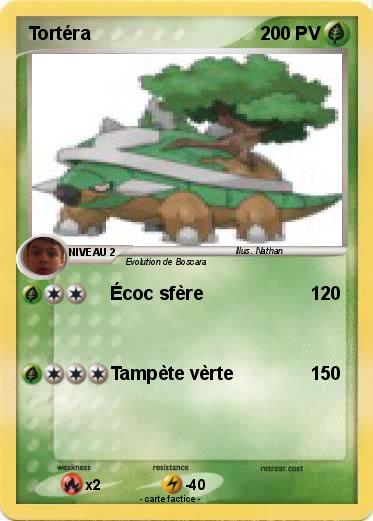 Pokemon Tortéra