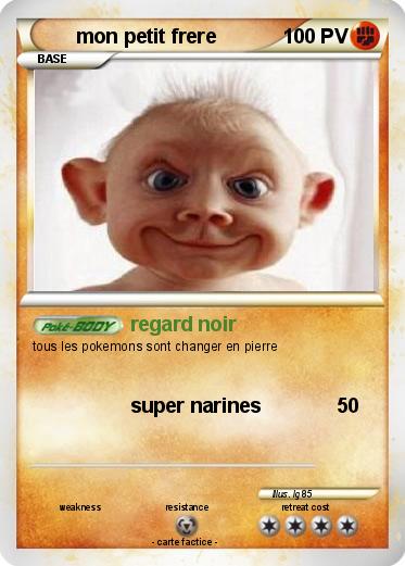 Pokemon mon petit frere