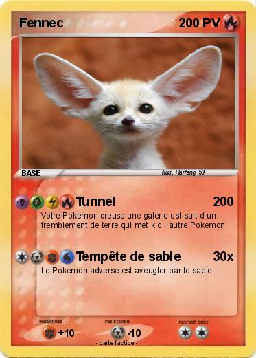 Pokemon Fennec 38