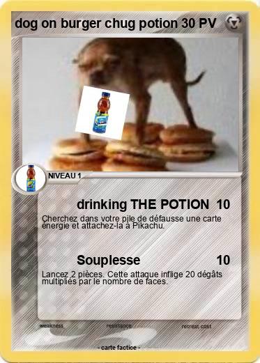 Pokemon dog on burger chug potion