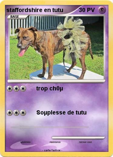 Pokemon staffordshire en tutu