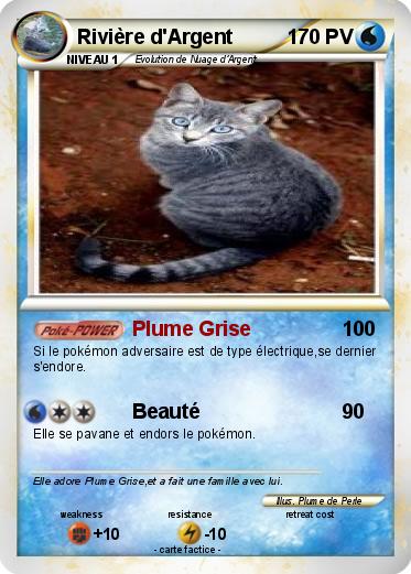 Pokemon Rivière d'Argent
