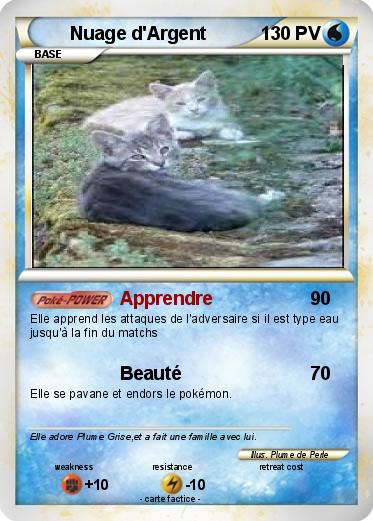 Pokemon Nuage d'Argent