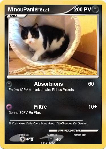 Pokemon MinouPaniére