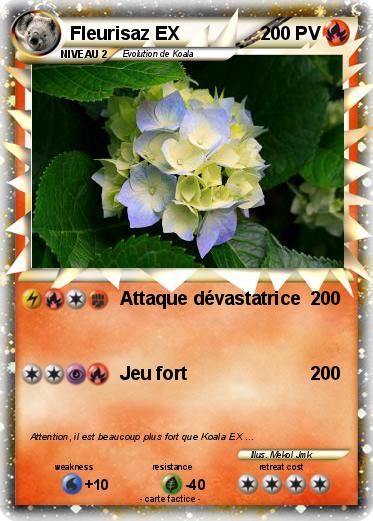 Pokemon Fleurisaz EX