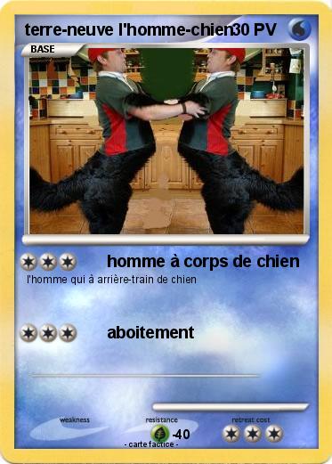 Pokemon terre-neuve l'homme-chien