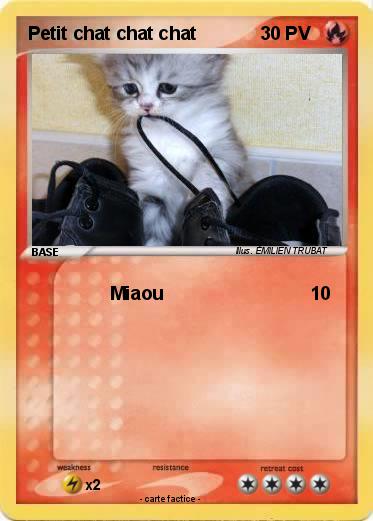 Pokemon Petit chat chat chat