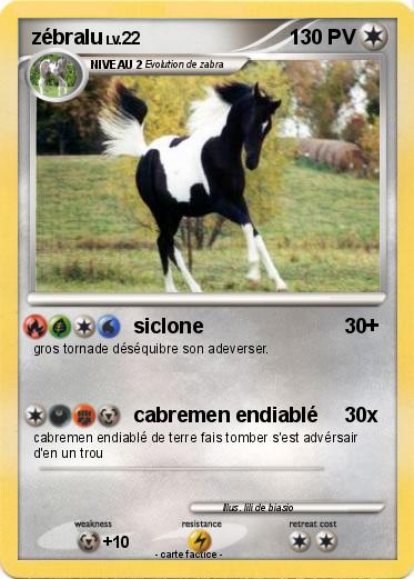 Pokemon zébralu