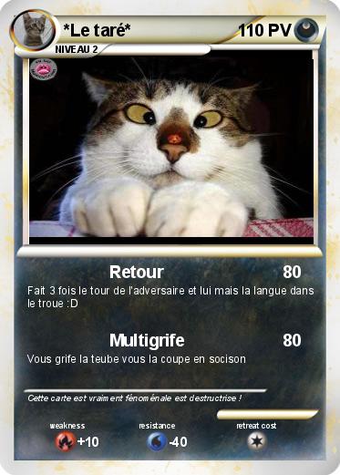 Pokemon *Le taré*