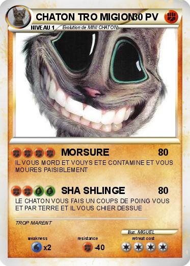 Pokemon CHATON TRO MIGION