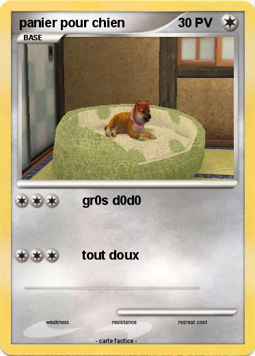 Pokemon panier pour chien