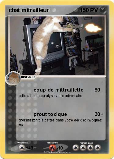 Pokemon chat mitrailleur