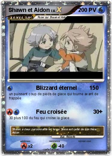 Pokemon Shawn et Aidon