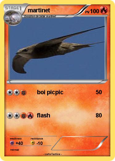 Pokemon martinet