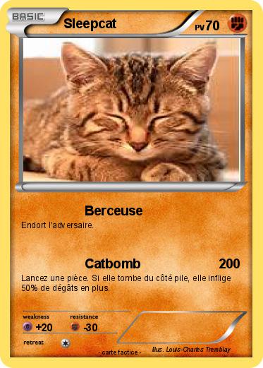 Pokemon Sleepcat