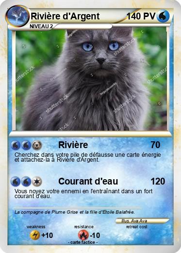 Pokemon Rivière d'Argent