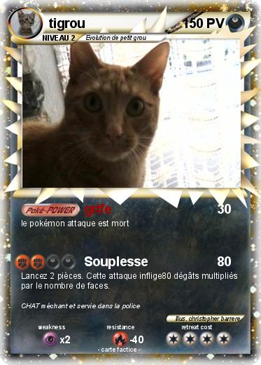 Pokemon tigrou