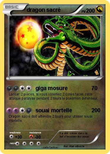 Pokemon dragon sacré