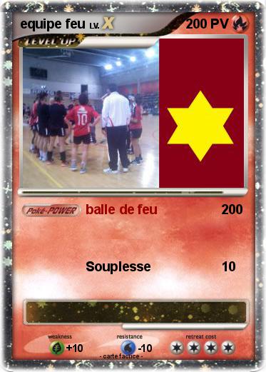 Pokemon equipe feu