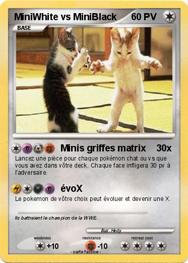 Pokemon MiniWhite vs MiniBlack
