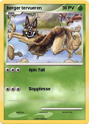 Pokemon berger tervueren