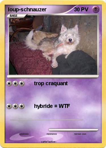 Pokemon loup-schnauzer