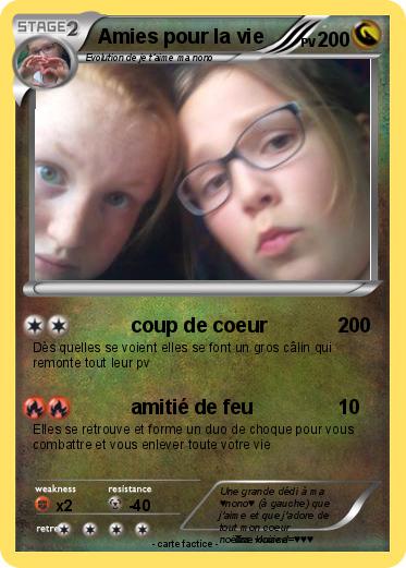 Pokemon Amies pour la vie