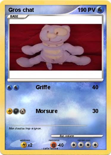 Pokemon Gros chat