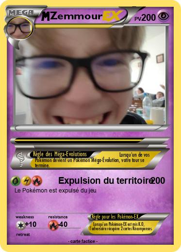 Pokemon Zemmour