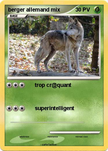 Pokemon berger allemand mix