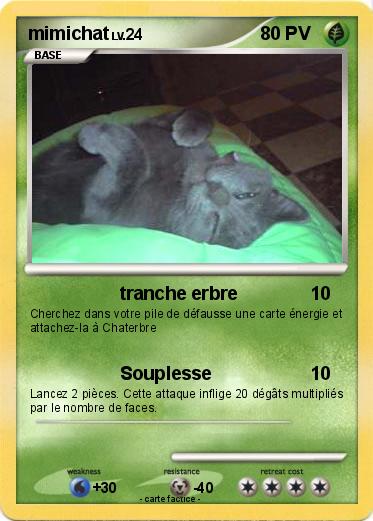 Pokemon mimichat