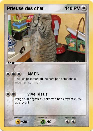 Pokemon Prieuse des chat