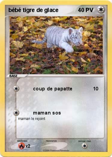 Pokemon bébé tigre de glace
