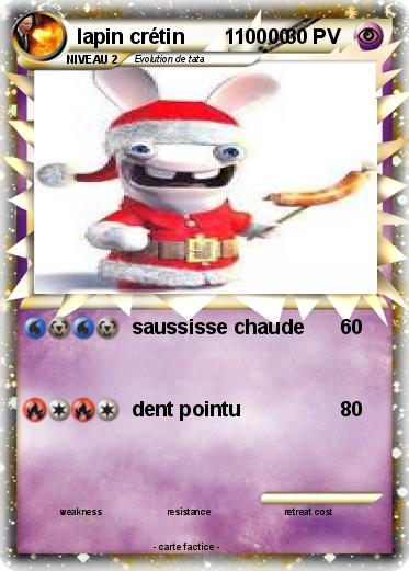 Pokemon lapin crétin       110000