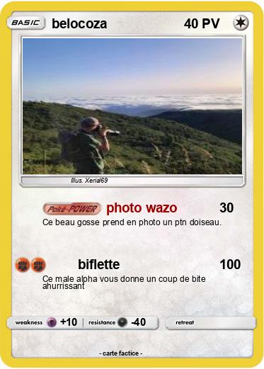 Pokemon belocoza