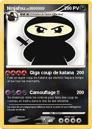 Pokemon Ninjafou