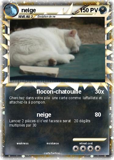 Pokemon neige