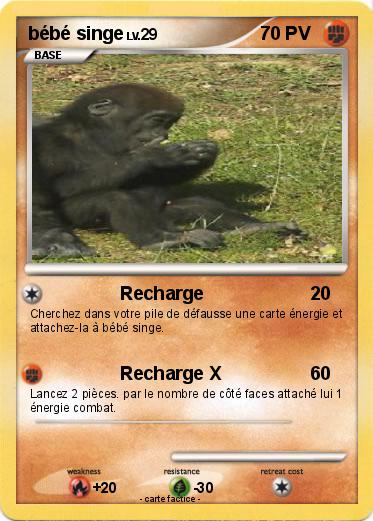 Pokemon bébé singe