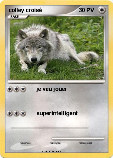 Pokemon colley croisé