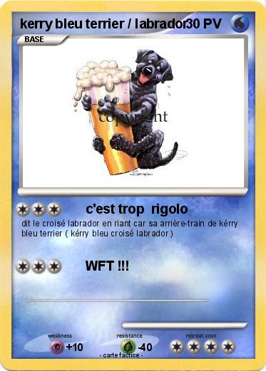Pokemon kerry bleu terrier / labrador