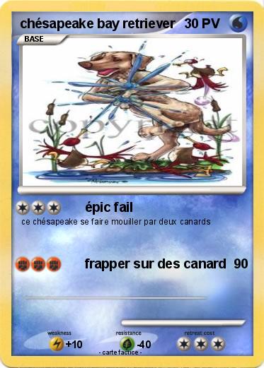 Pokemon chésapeake bay retriever