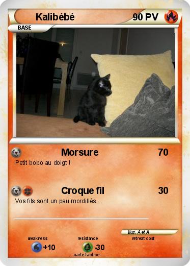 Pokemon Kalibébé