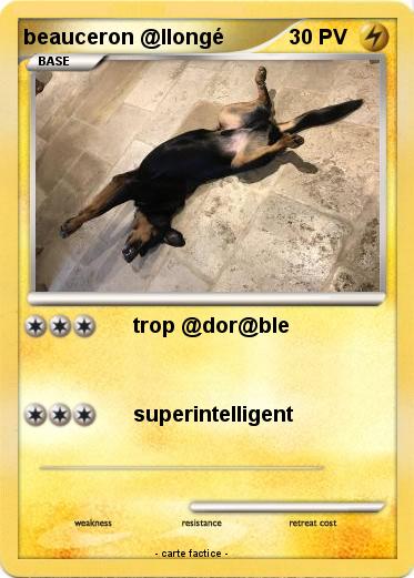 Pokemon beauceron @llongé