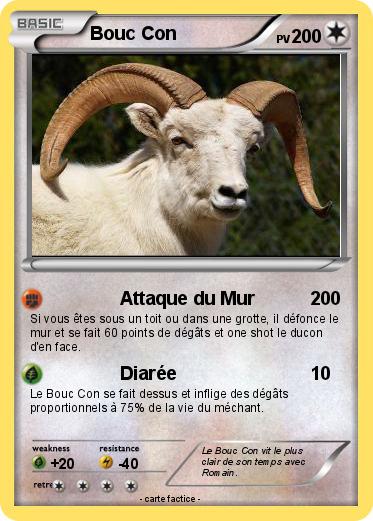 Pokemon Bouc Con