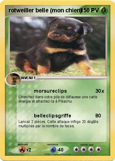 Pokemon rotweiller belle (mon chien)
