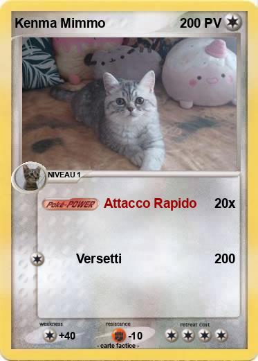 Pokemon Kenma Mimmo