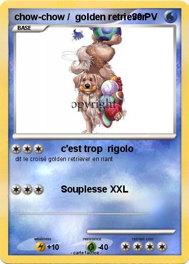 Pokemon chow-chow /  golden retriever