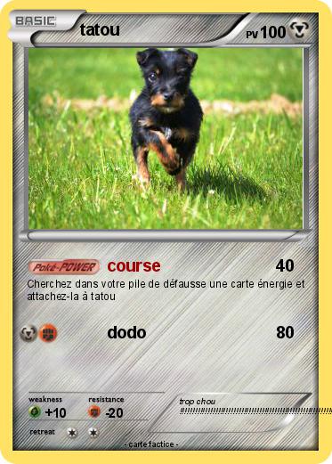 Pokemon tatou