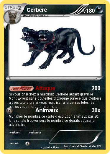 Pokemon Cerbere