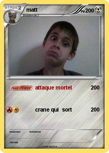 Pokemon matt